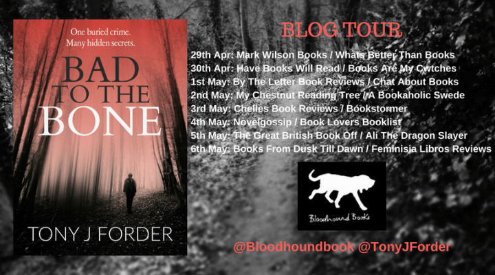 Bad To The Bone Blog tour banner