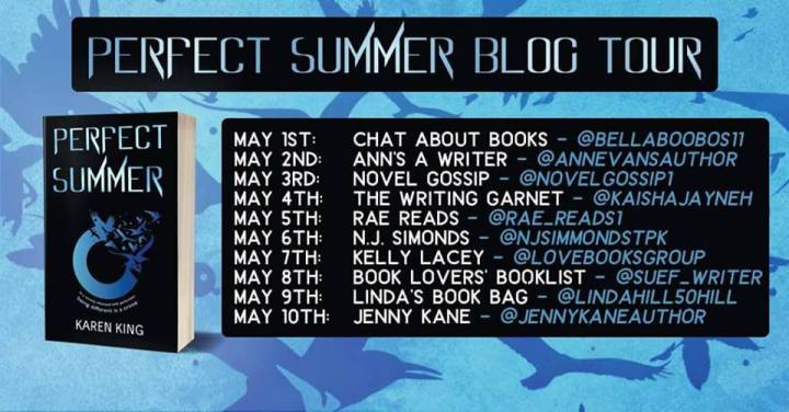 Perfect Summer blog tour banner
