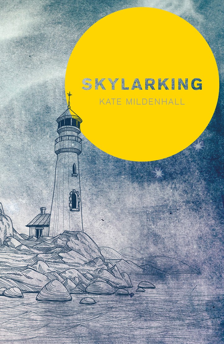 Skylarking