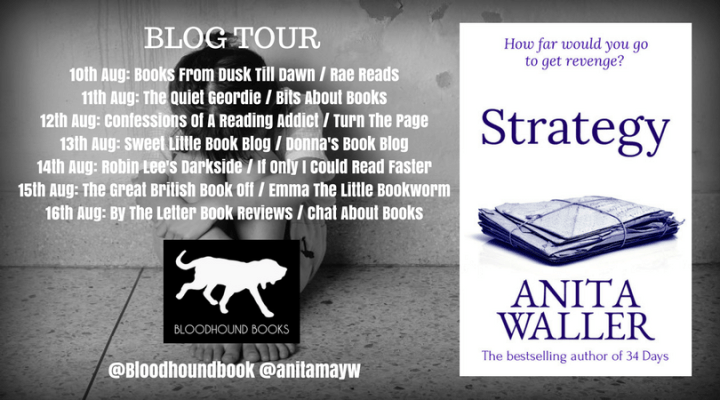 Strategy blog tour banner (2)