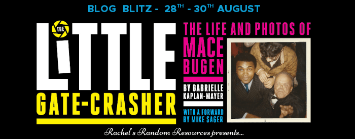 The Little Gate Crasher banner