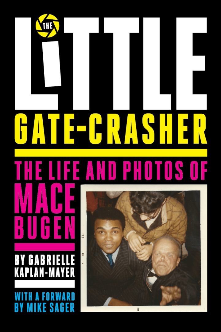 The Little Gate Crasher cover