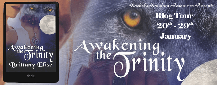 awakening the triniity banner