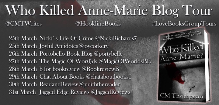 Who Killed Anne Marie tour poster