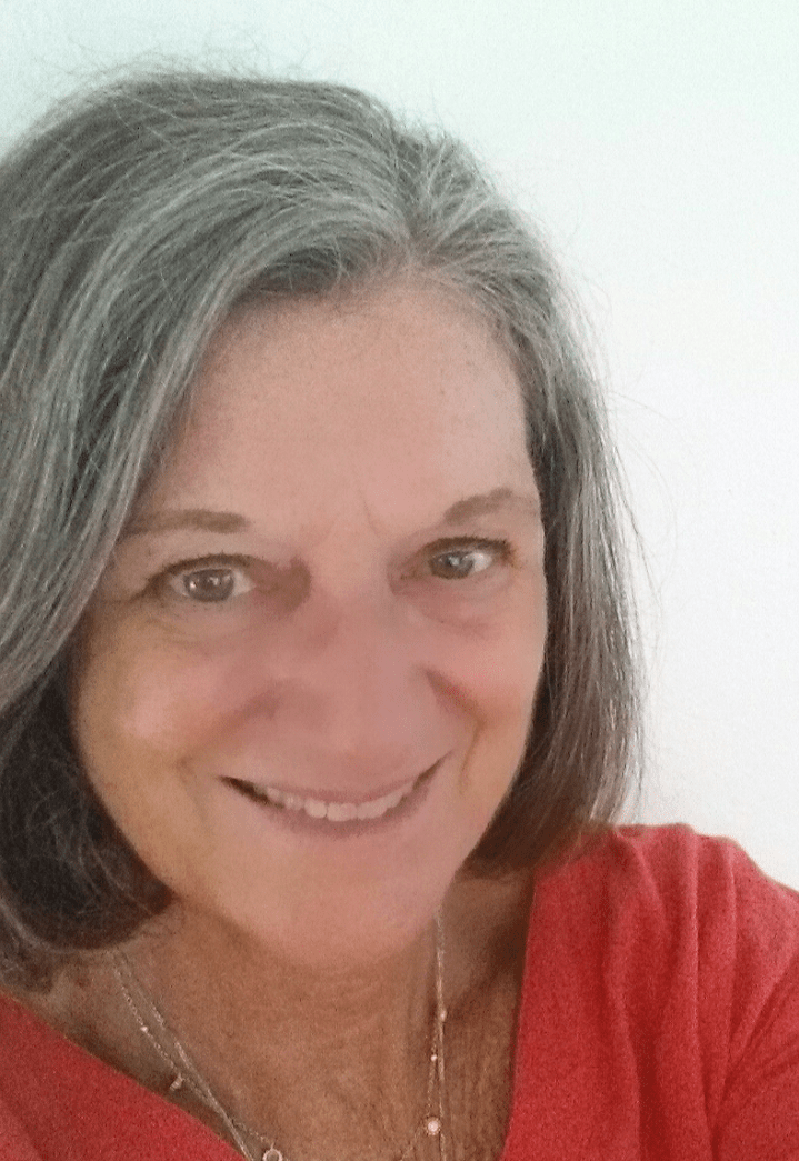 The Summer Springsteens Songs Saved Me author